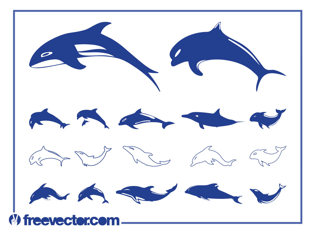 1024x765 Dolphins Vector Graphics Vector Art Graphics