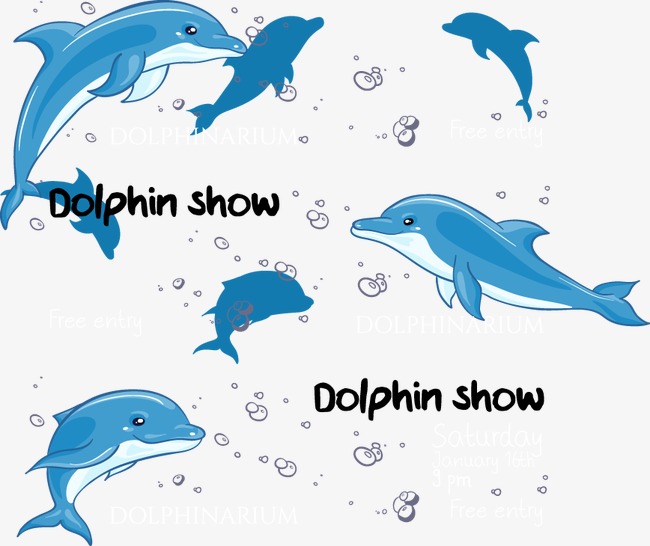 650x546 Floating Blue Dolphin, Blue Vector, Dolphin Vector, Float Png