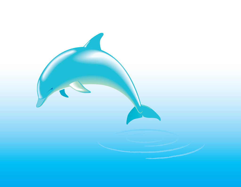 1024x794 Free Dolphin Vector Vector Art Graphics