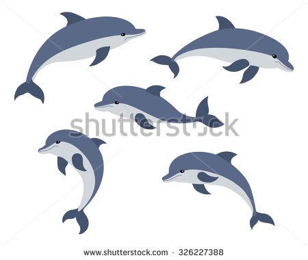 450x380 Set Of Five Cute Dolphins Vector Illustration Baliklar