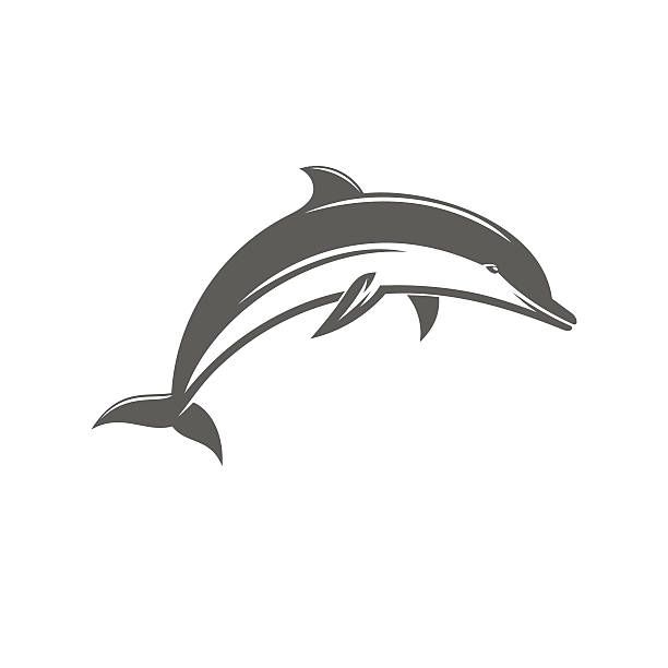 612x612 Black And White Vector Ilstration Jumping Dolphins Vector Art