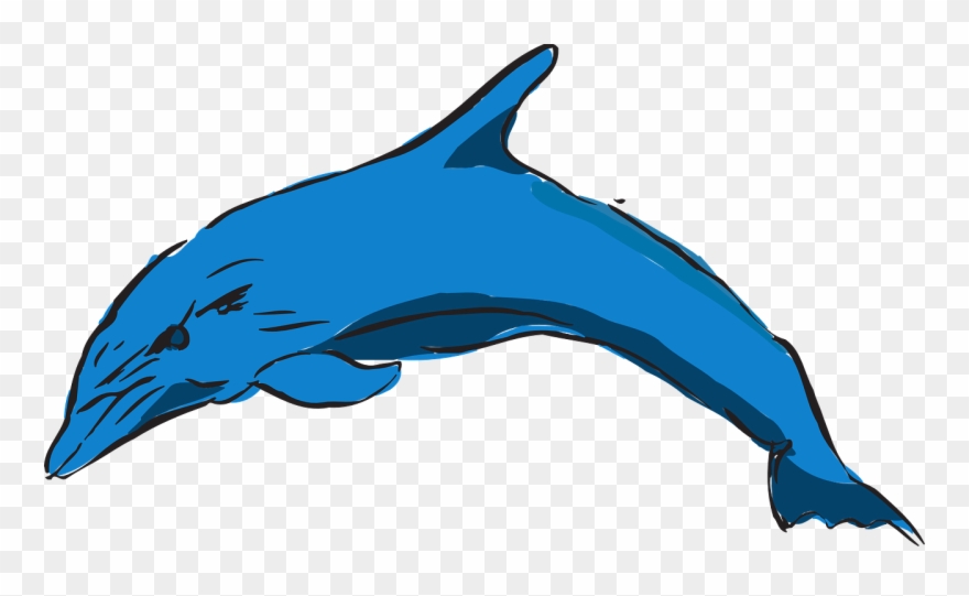 880x541 Collection Of Dolphin Vector Art