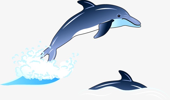 650x385 Dolphin, Dolphin Clipart, Fish Png And Vector For Free Download