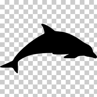 Dolphin Vector Free