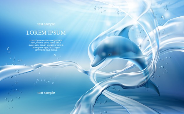 626x389 Dolphin Vectors, Photos And Free Download