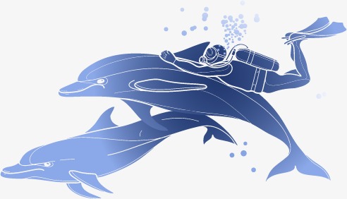 492x282 Dolphins Vector Material, Dolphin, Diver, Blister Png And Vector