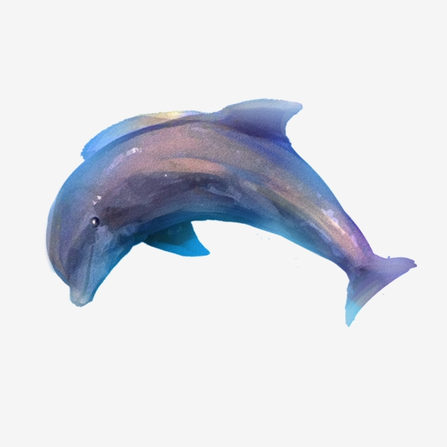 640x640 Dolphins Vector Png, Vector, And Clipart With Transparent
