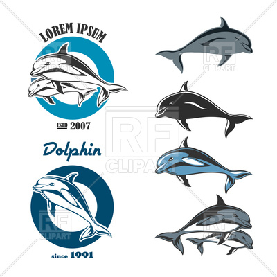 400x400 Set Of Emblems Of Dolphin Vector Image Of Plants And Animals