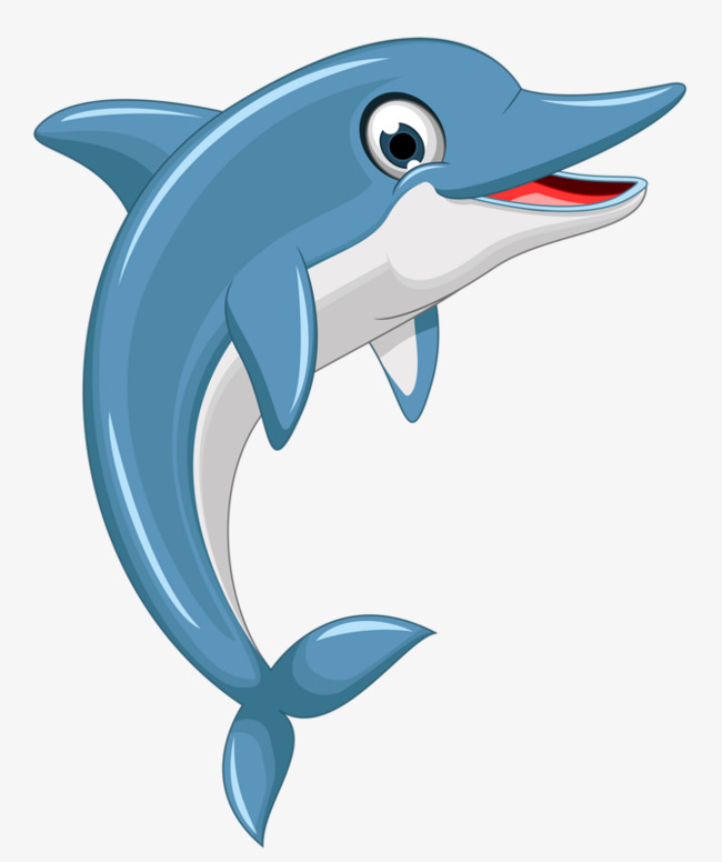 650x776 Cartoon Dolphin Png Hd Transparent Cartoon Dolphin Hd Images