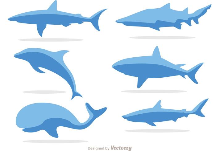 700x490 Dolphin Free Vector Art