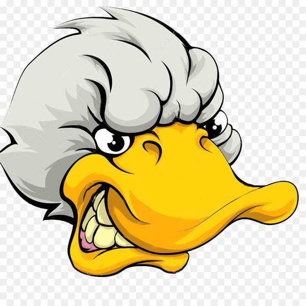 600x600 Donald Duck Vector Graphics Illustration Image