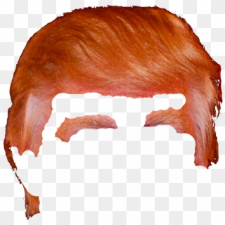 320x320 Donald Trump Hair Transparent Png Images, Free Transparent Image