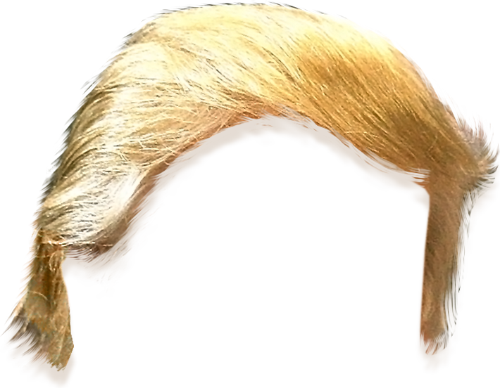 Trump Clipart Hair For Free Download And Use Images 710x552 Trump Clipart Hair For Free Download And Use Images