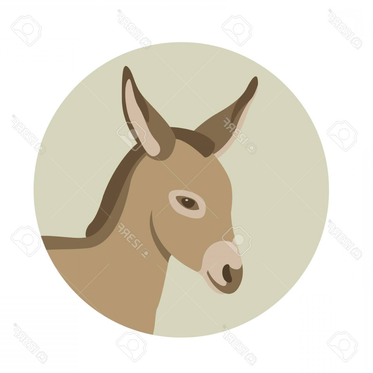 1560x1560 Donkey Face Vector Studiogrfx