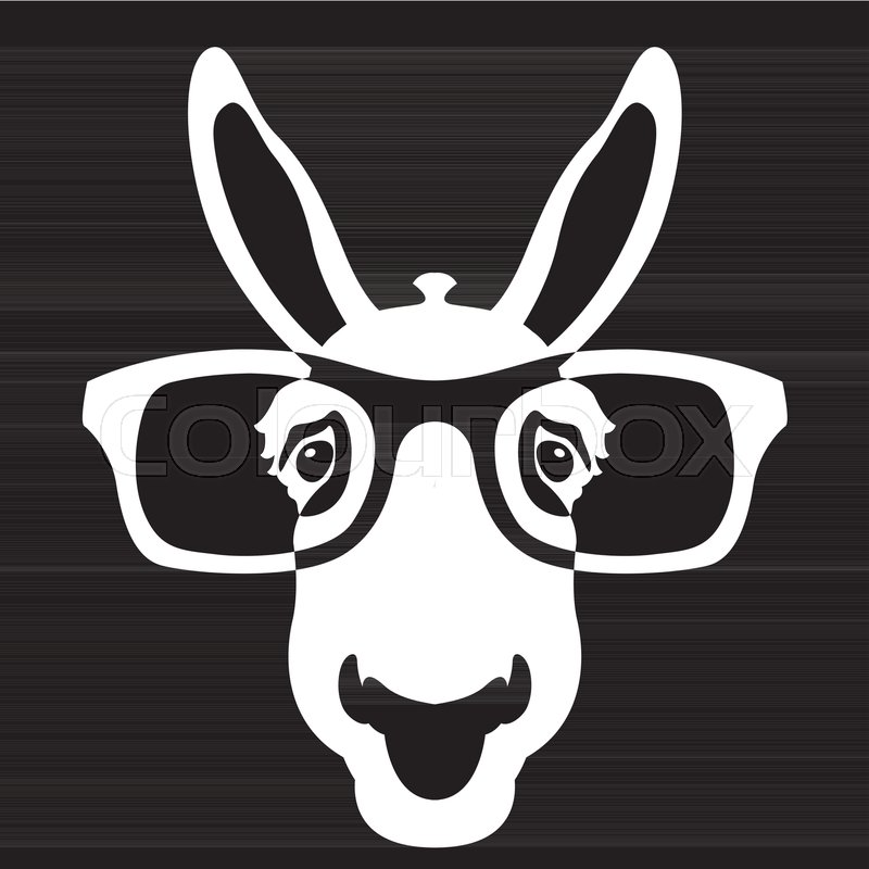 800x800 Donkey Face In Glasses Vector Stock Vector Colourbox