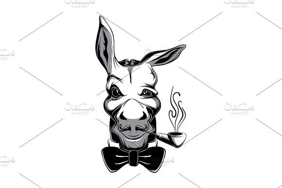 580x386 Funny Snobbish Donkey