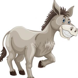 Donkey Face Vector at Vectorified.com | Collection of Donkey Face ...