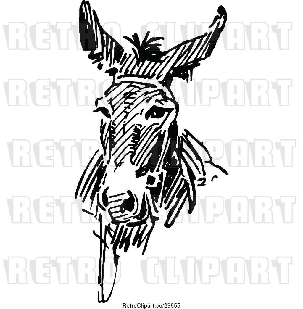 1024x1044 Vector Clip Art Of Retro Donkey Face