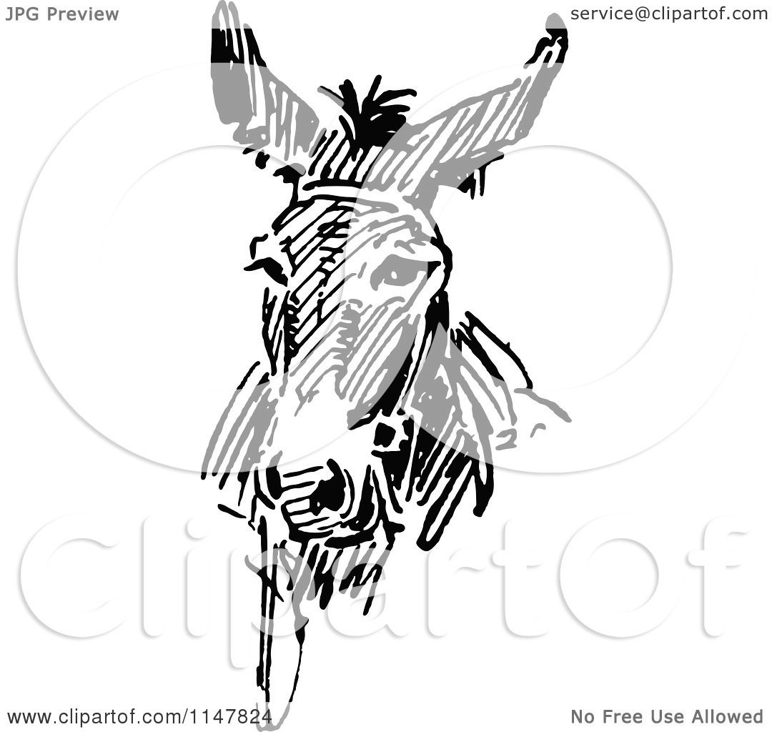 1080x1024 Clipart Of A Retro Vintage Black And White Donkey Face