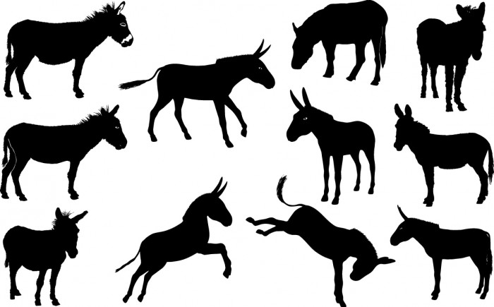 700x435 Donkey Silhouette Vector Free Graphic, Design Elements, Cliparts