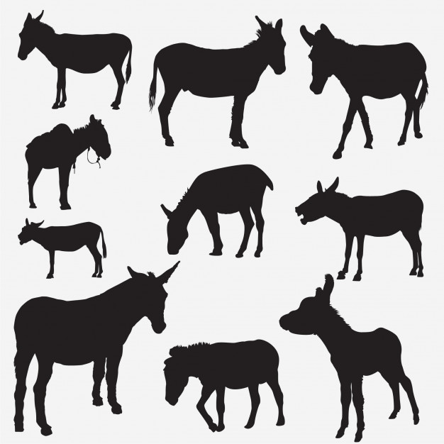 626x626 Donkey Silhouettes Vector Premium Download