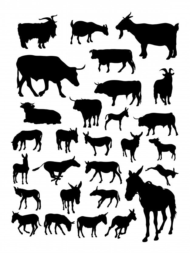 626x832 Goat Cow Donkey Silhouette Vector Premium Download