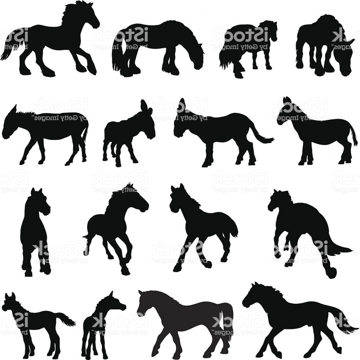 1228x1228 Horse Donkey And Pony Silhouettes Gm Soidergi