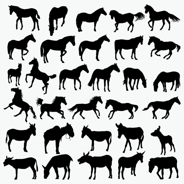 626x626 Horse Donkey Silhouettes Vector Premium Download