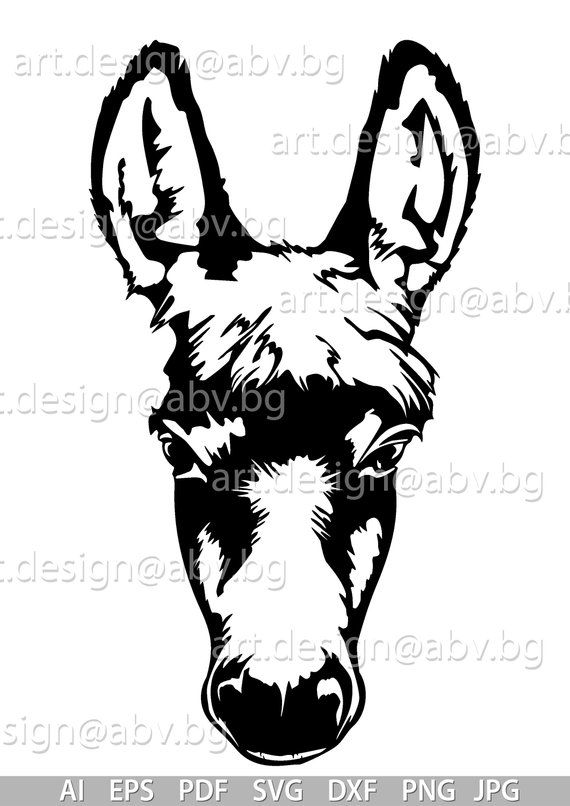 570x806 Vector Donkey Head, Dxf, Pdf, Png, Download