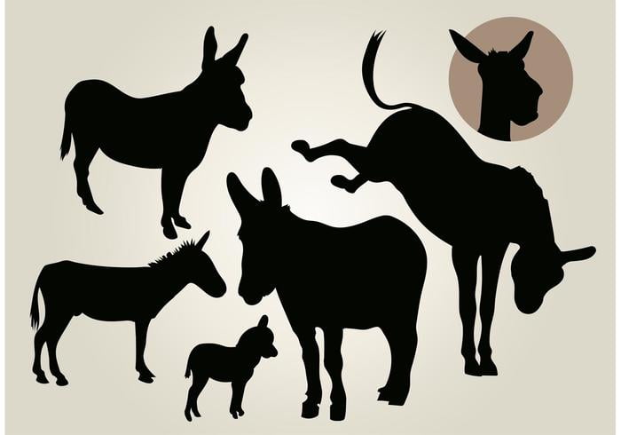 700x490 Donkey Vector Silhouette Set Free Graphics Uihere