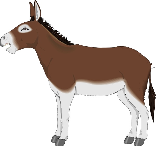 600x561 Donkey Free Vector In Open Office Drawing