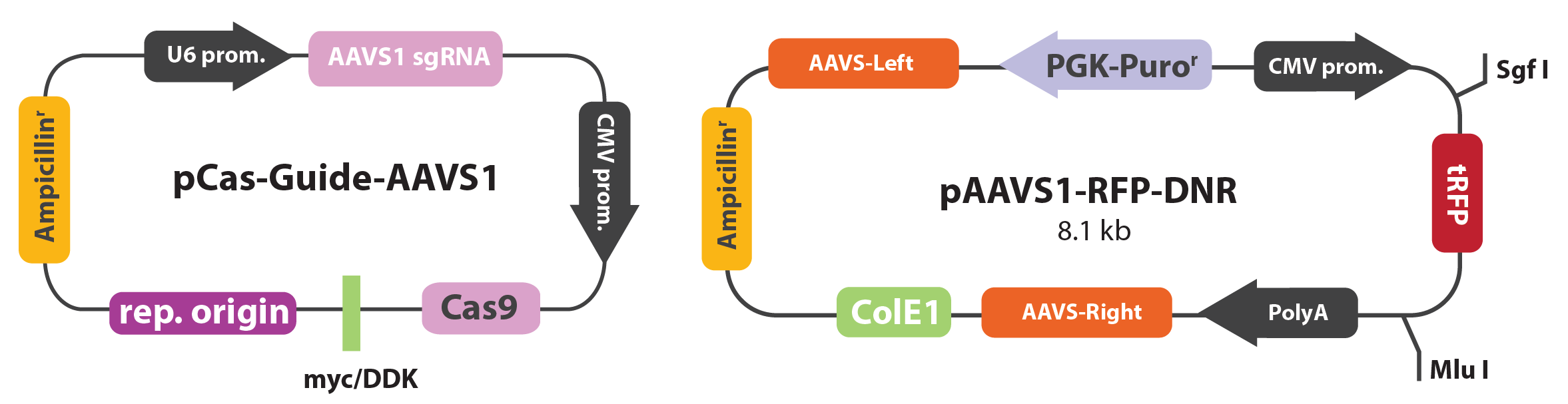 2354x607 Crispr Case Studies