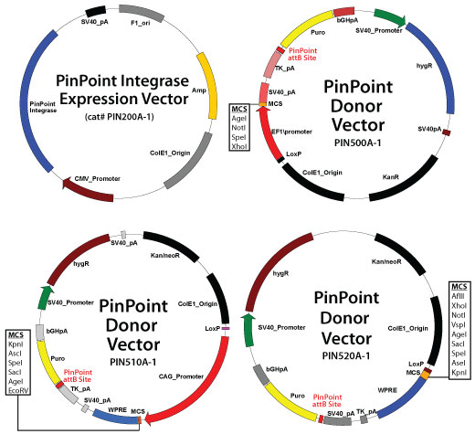 520x475 Pinpoint Targeted Integration System