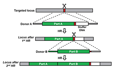 400x270 Stanford University Office Of Technology Licensing