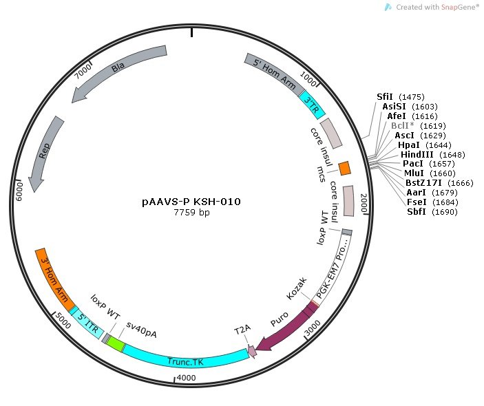 703x590 Safe Harbor Kits Transposagen Biopharmaceuticals