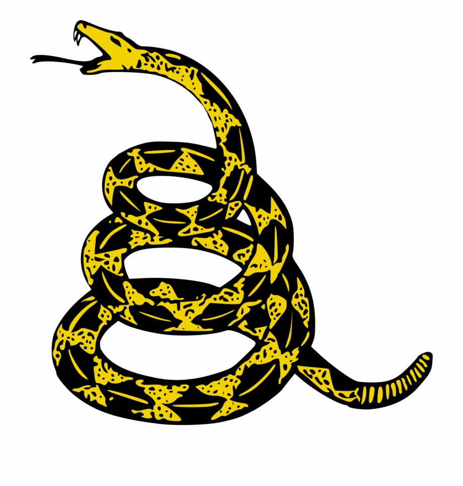 920x964 Snake Wikimedia Commons Open