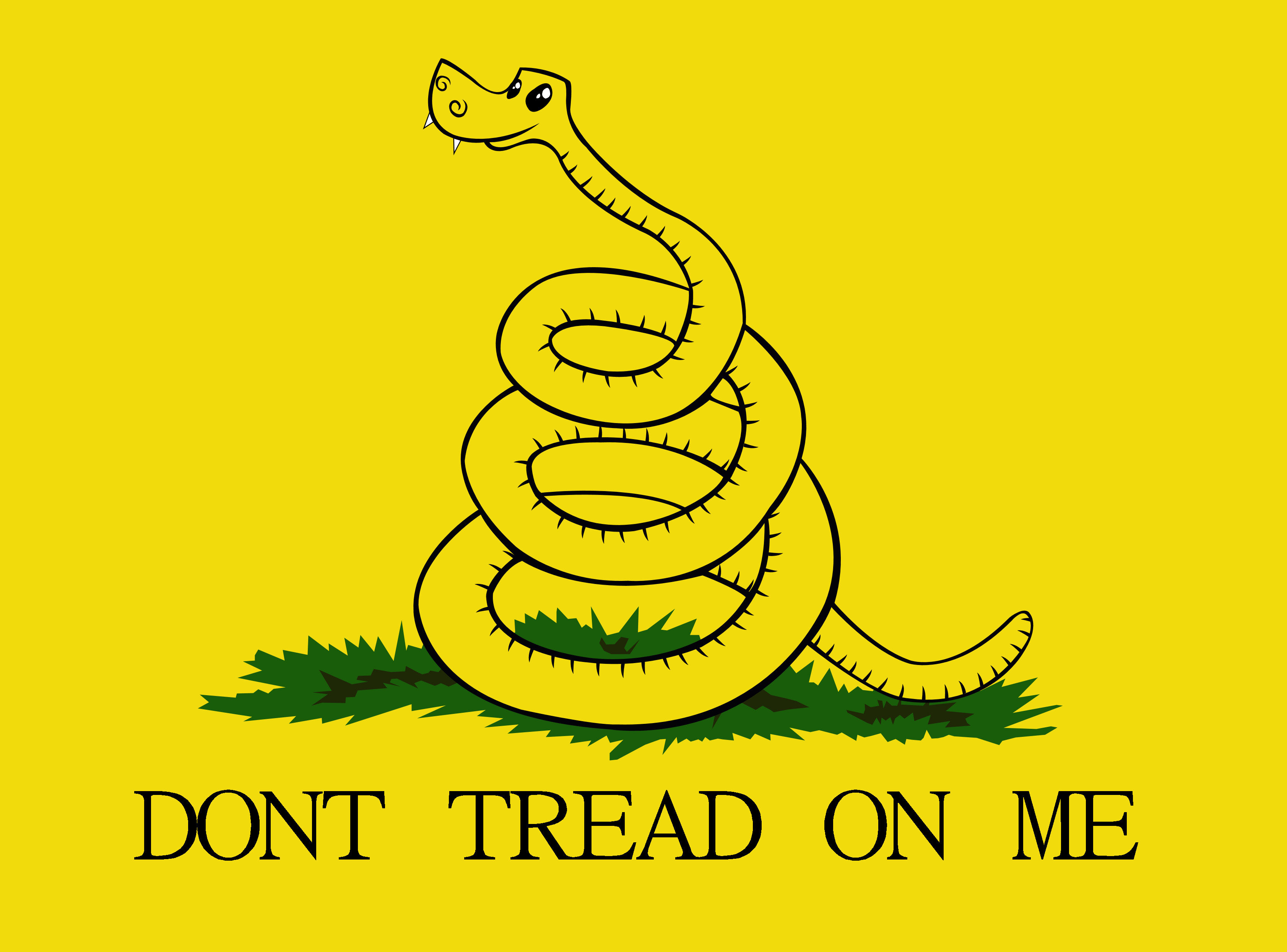 3366x2491 Don't Tread On Me Wallpapers