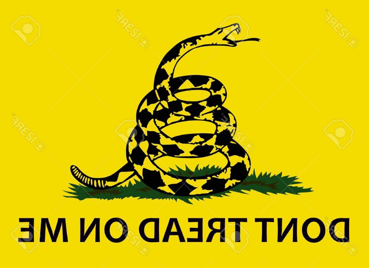 1560x1136 Photostock Vector Don T Tread On Me This Gadsden Flag History