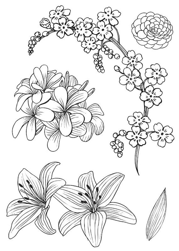 Set Of Exotic Flowers Doodle Vector Illustration Art Print 570x799 Set Of Exotic Flowers Doodle Vector Illustration Art Print