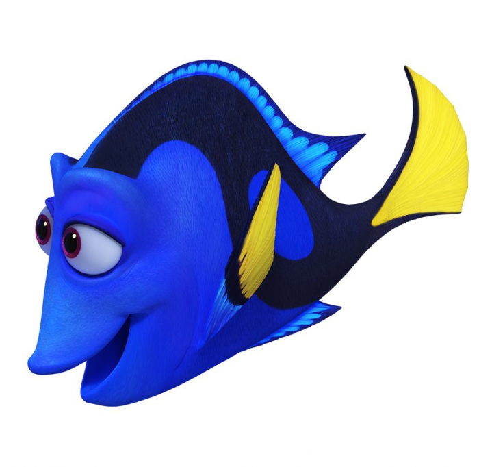 Dory Vector at Vectorified.com | Collection of Dory Vector free for