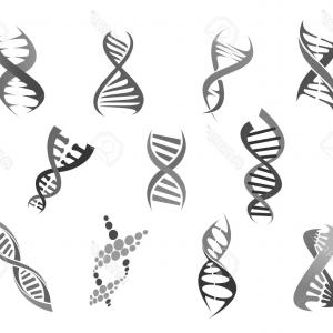 300x300 Double Dna Helix Icons Vector Hoodamathrun