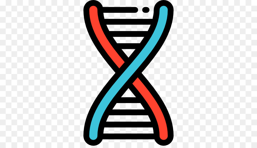 900x520 Double Helix Clipart