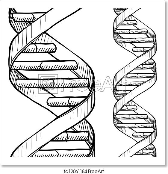 561x581 Free Art Print Of Seamless Dna Double Helix Pattern Doodle Style