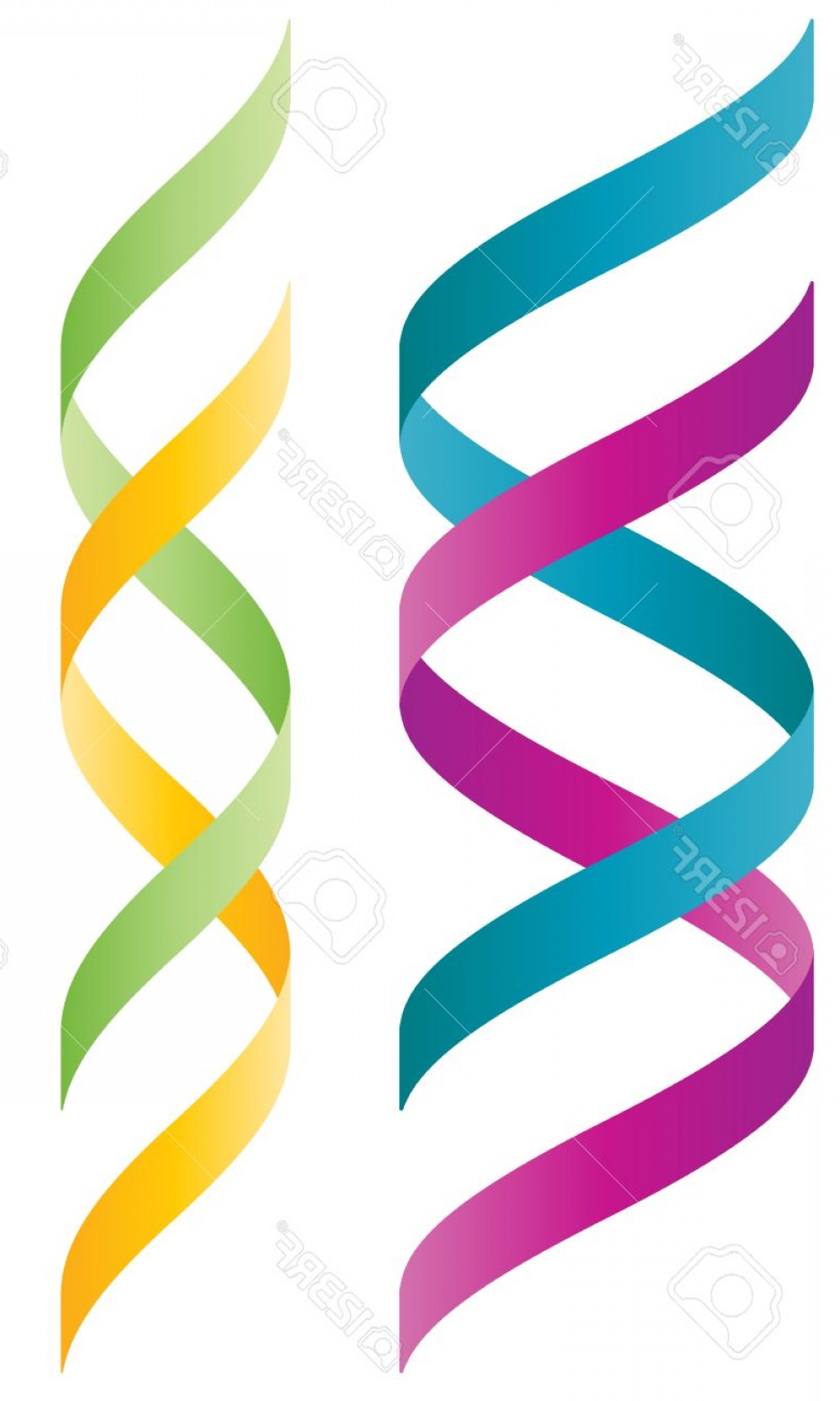 936x1560 Dna Helix Vector Createmepink