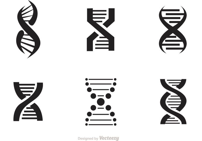 Set Of Doble Helix Icons Vector 700x490 Set Of Doble Helix Icons Vector