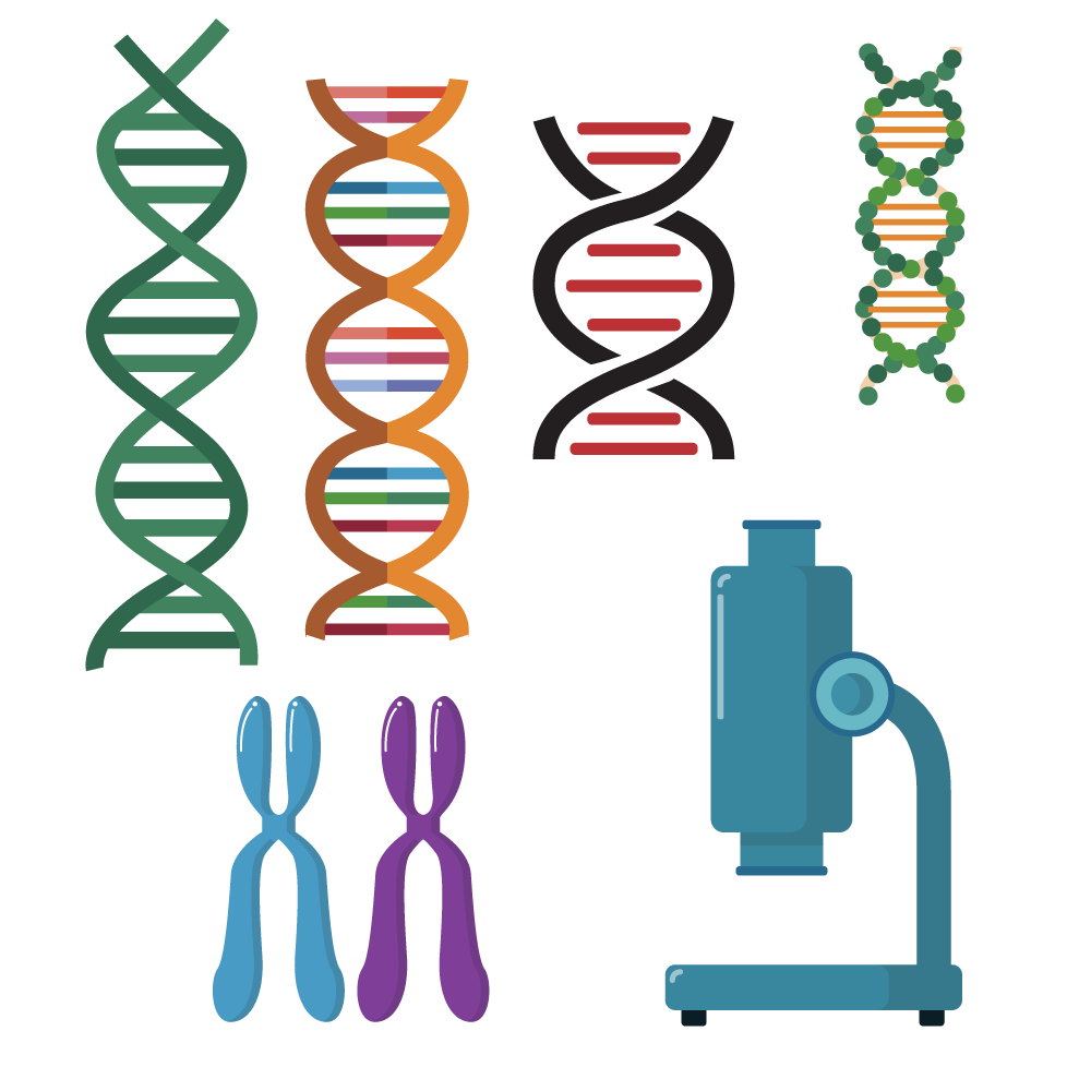 Dna Double Helix Scientific Vector Set 1000x1000 Dna Double Helix Scientific Vector Set