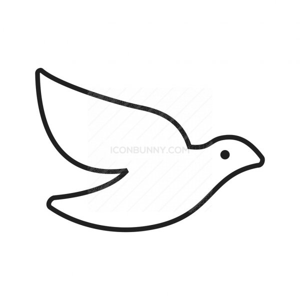 600x600 Dove Line Icon