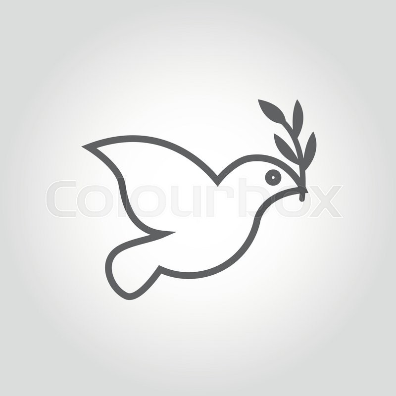 800x800 Vector White Dove Icon On Grey Stock Vector Colourbox