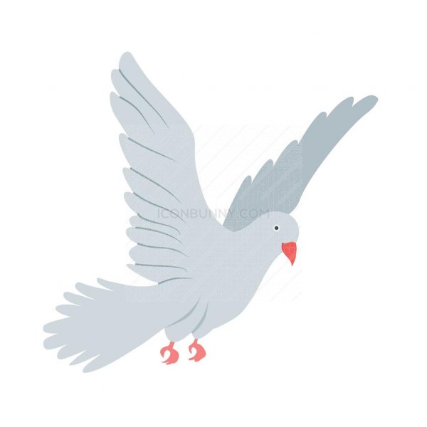 600x600 Dove Flat Multicolor Icon