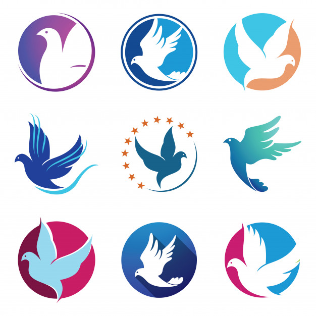 Dove Pigeon Bird Fly Wings Logo Symbol Vector Premium Download 626x626 Dove Pigeon Bird Fly Wings Logo Symbol Vector Premium Download